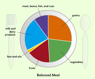balanced_meal